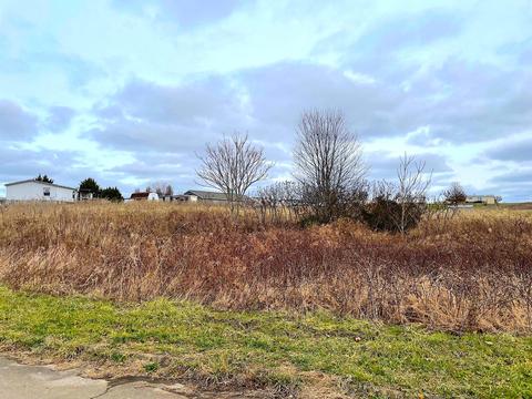 60 Ebenezer Loop, Chuckey, TN 37641 photo 6
