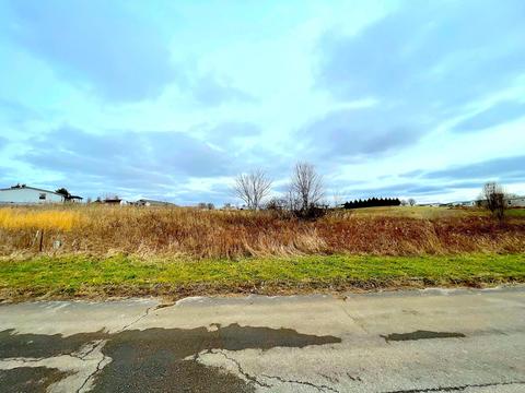 60 Ebenezer Loop, Chuckey, TN 37641 photo 5
