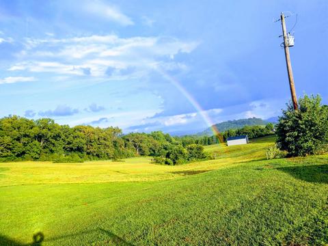 726 Parsonage Rd, White Pine, TN 37890 photo 13