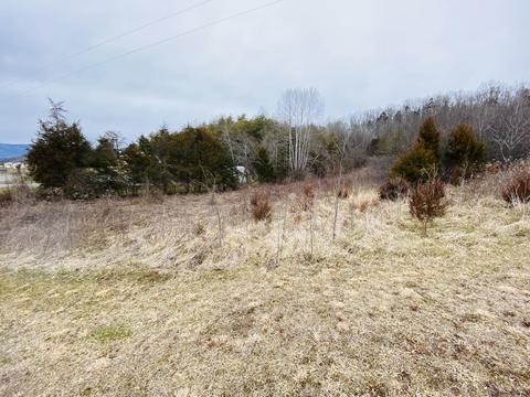1709 Lick Branch Rd, Ewing, VA 24248 photo 12