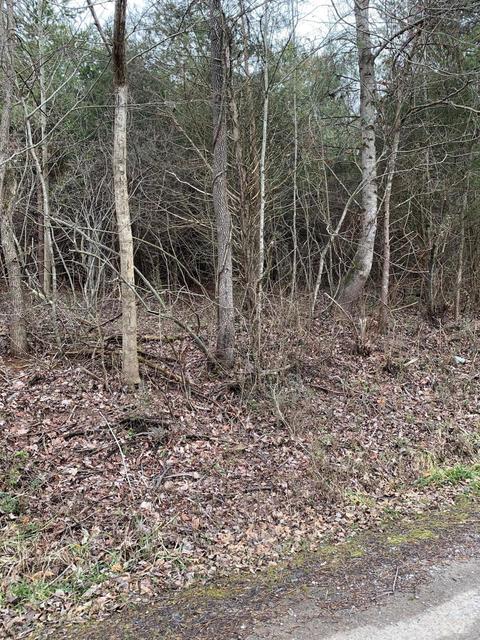 Lot 10 Brantley Acres Rd, Speedwell, TN 37870