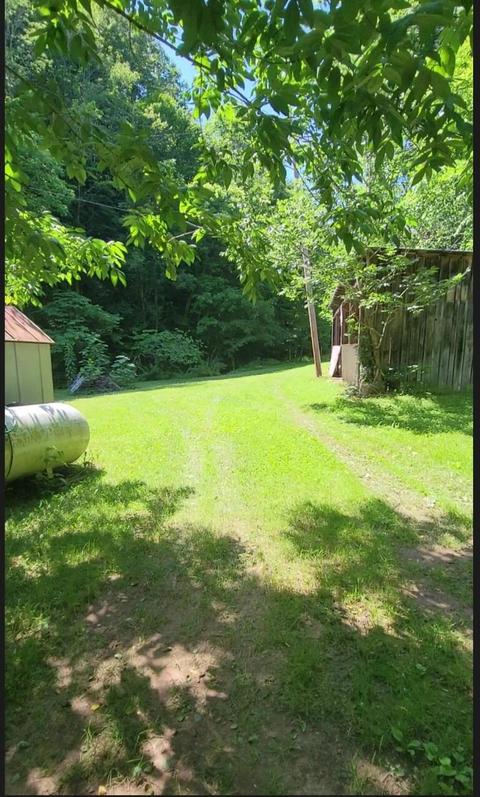 205 River Knobs Dr, Duffield, VA 24244 photo 8