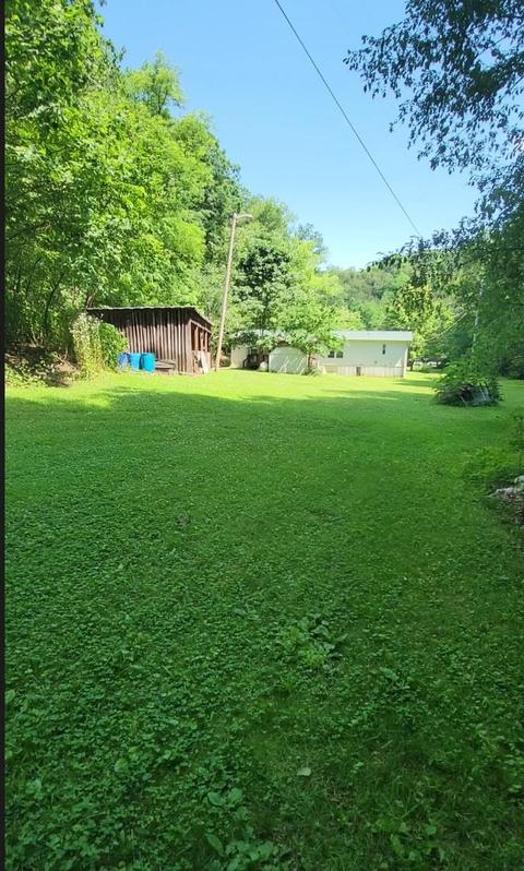 205 River Knobs Dr, Duffield, VA 24244 photo 9