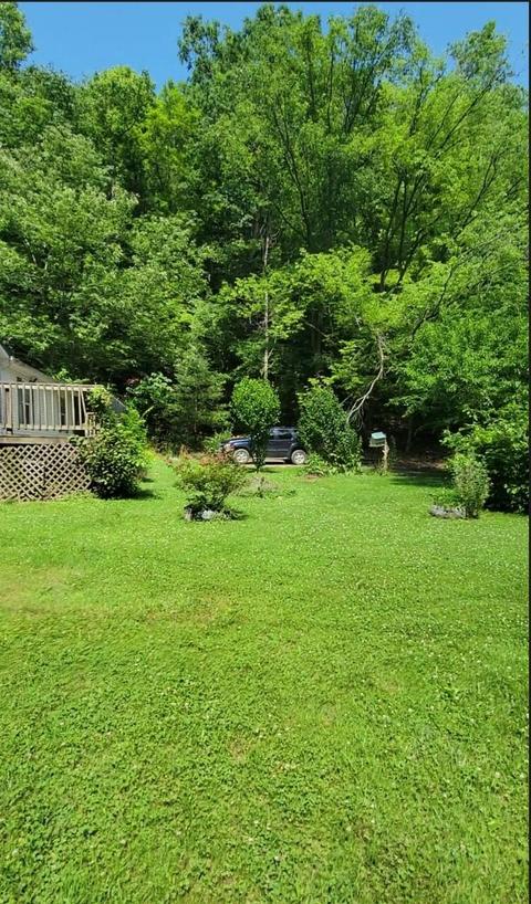 205 River Knobs Dr, Duffield, VA 24244 photo 5