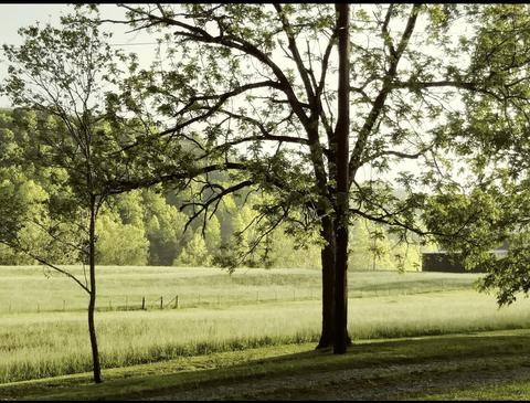 3444 Willow Tree Rd, Ewing, VA 24248 photo 23