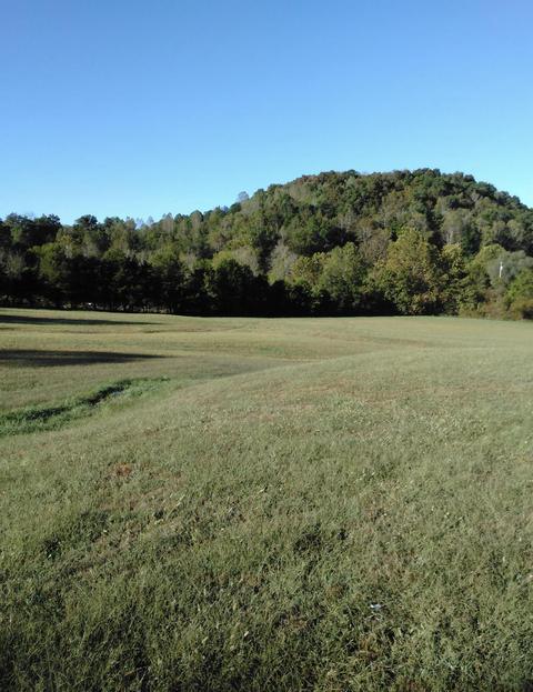 3444 Willow Tree Rd, Ewing, VA 24248 photo 21