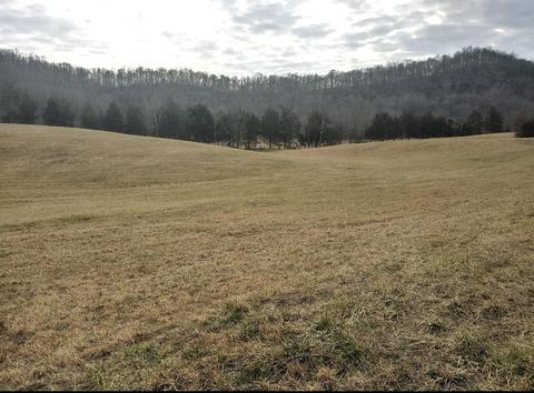 3444 Willow Tree Rd, Ewing, VA 24248 photo 32
