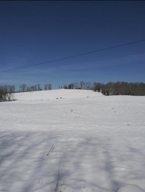 3444 Willow Tree Rd, Ewing, VA 24248 photo 34