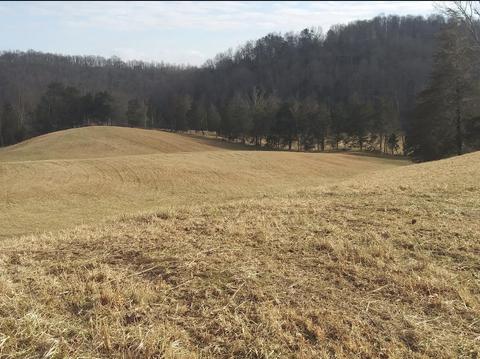 3444 Willow Tree Rd, Ewing, VA 24248 photo 29