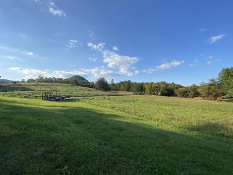 3444 Willow Tree Rd, Ewing, VA 24248 photo 36