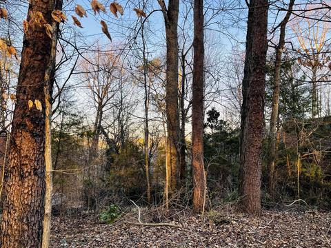 7320 Wildwood Ct, Knoxville, TN 37920