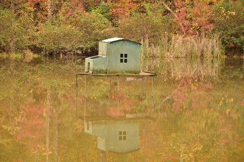 2006 Chilhowee Loop, Walland, TN 37886 photo 25