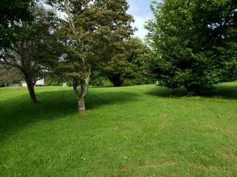 219 Burchfield Ave, Oneida, TN 37841 photo 23