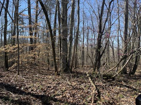360 Heiskell Rd, Heiskell, TN 37754 photo 13