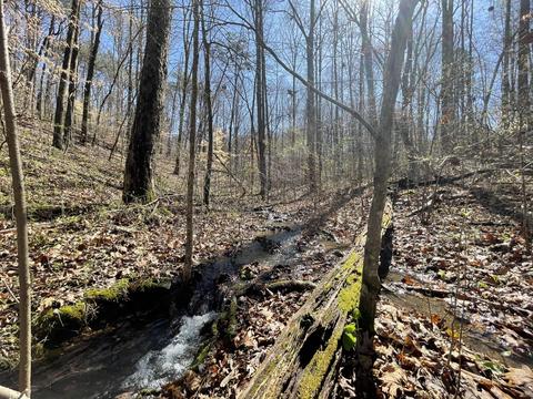 360 Heiskell Rd, Heiskell, TN 37754 photo 9