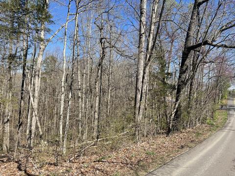 360 Heiskell Rd, Heiskell, TN 37754 photo 6