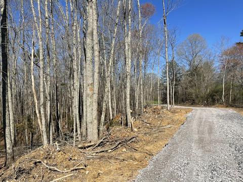360 Heiskell Rd, Heiskell, TN 37754 photo 4