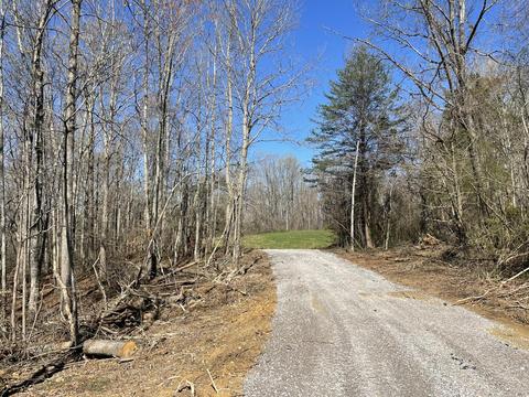 360 Heiskell Rd, Heiskell, TN 37754 photo 3