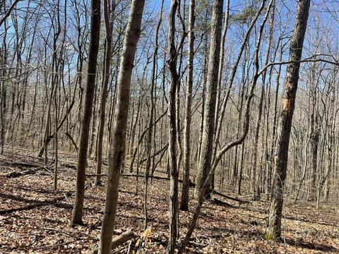 360 Heiskell Rd, Heiskell, TN 37754 photo 14