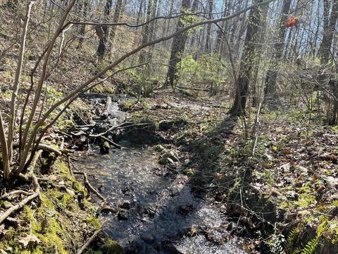 360 Heiskell Rd, Heiskell, TN 37754 photo 8