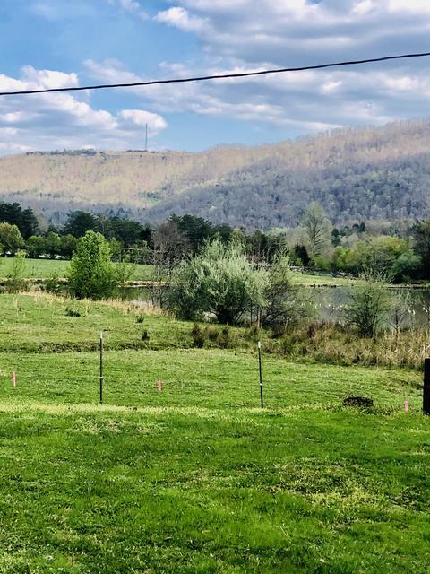 655 Newcomb Loop Rd, Newcomb, TN 37819 photo 8