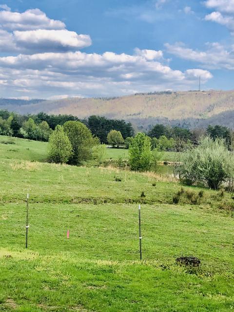 655 Newcomb Loop Rd, Newcomb, TN 37819 photo 6