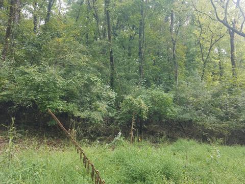 Delta Queen Rd, Louisville, TN 37777