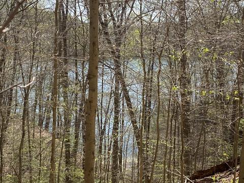 Norris Shores Drive, Sharps Chapel, TN 37866