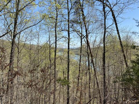 Ridgeland Drive, Sharps Chapel, TN 37866