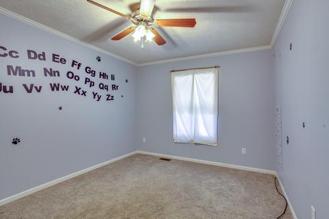 9704 Heiskell Rd, Heiskell, TN 37754 photo 25