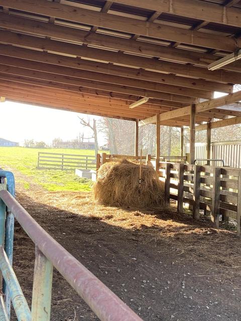 1190 Campground Rd, Clarkrange, TN 38553 photo 33