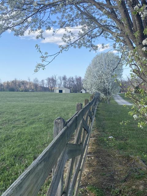1190 Campground Rd, Clarkrange, TN 38553 photo 5