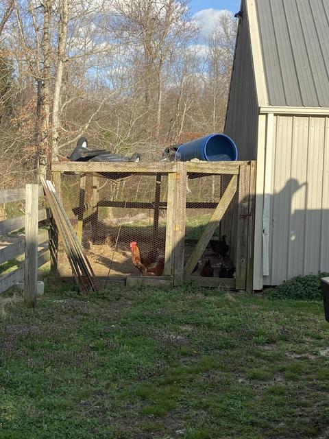 1190 Campground Rd, Clarkrange, TN 38553 photo 28