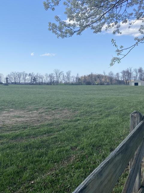 1190 Campground Rd, Clarkrange, TN 38553 photo 8