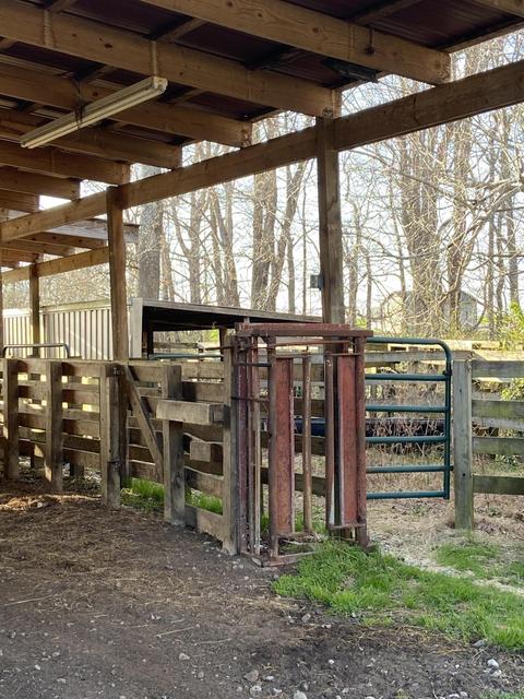 1190 Campground Rd, Clarkrange, TN 38553 photo 32