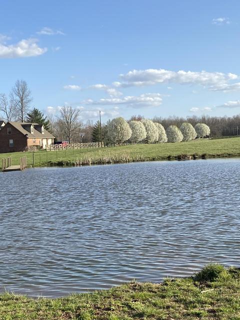 1190 Campground Rd, Clarkrange, TN 38553 photo 10