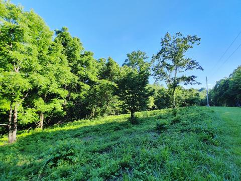 Shanghai Landing Lane, La Follette, TN 37766