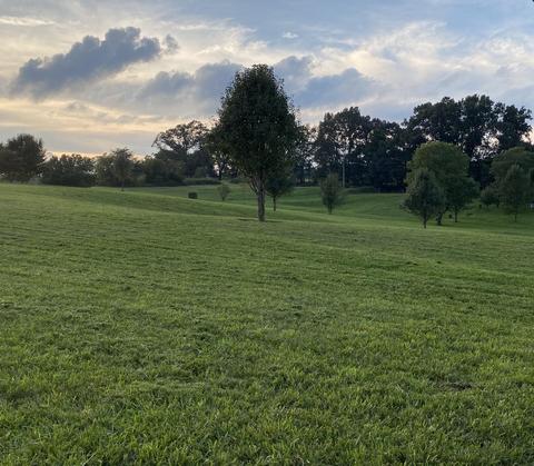 9310 Old Stage Rd, Limestone, TN 37681 photo 5
