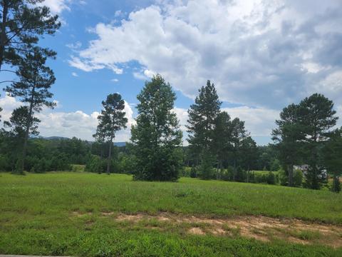 121 Quail Ln, Ocoee, TN 37361 photo 3