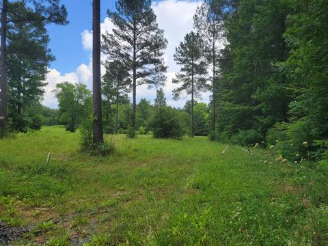 121 Quail Ln, Ocoee, TN 37361 photo 2