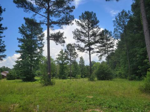 121 Quail Ln, Ocoee, TN 37361 photo 4
