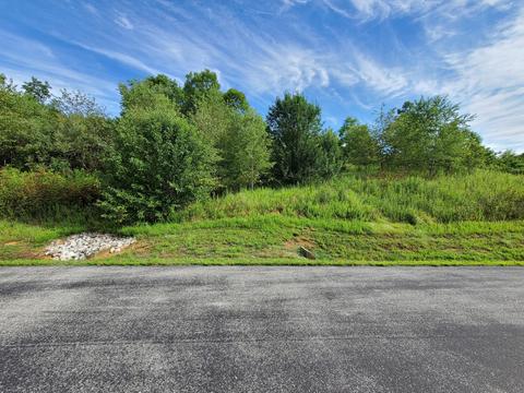 47 Emerald Cove Lane, Rockwood, TN 37854