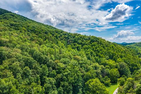 Spruce Pine Rd, Mooresburg, TN 37811