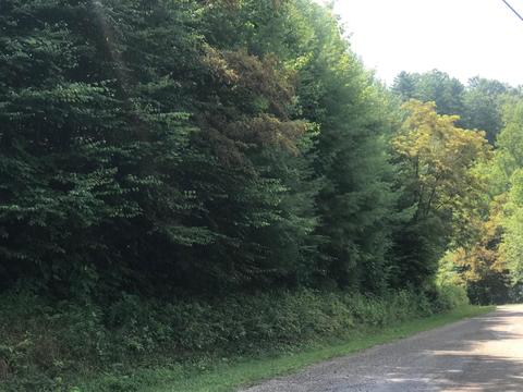 Deer Creek Crossing, Mountain City, TN 37683
