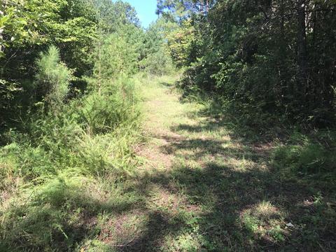 39 9 Ac Boiling Springs Rd, Vonore, TN 37885