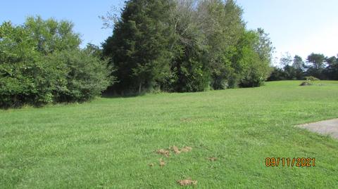 1354 Fork Rd, Greenback, TN 37742 photo 29