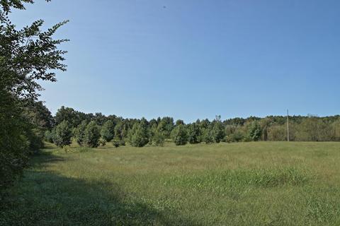 789 L D York Rd, Grimsley, TN 38565 photo 39