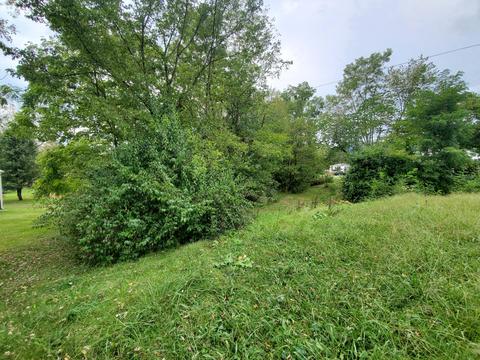 206 Lee Rd, Ewing, VA 24248 photo 7