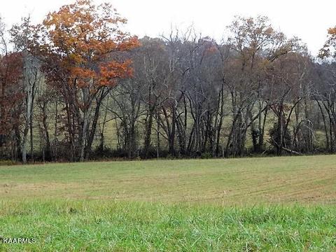 York Lane, Crossville, TN 38555