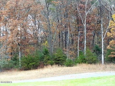 York Lane, Crossville, TN 38555
